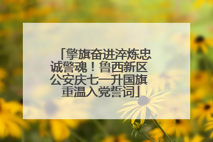 擎旗奋进淬炼忠诚警魂！鲁西新区公安庆七一升国旗 重温入党誓词