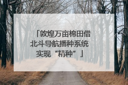 敦煌万亩棉田借北斗导航播种系统实现“精种”