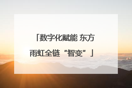 数字化赋能 东方雨虹全链“智变”