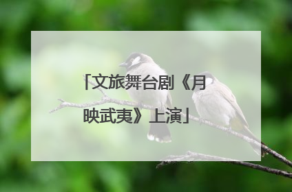 文旅舞台剧《月映武夷》上演