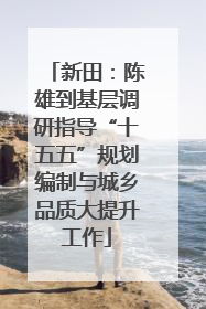 新田：陈雄到基层调研指导“十五五”规划编制与城乡品质大提升工作