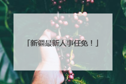 新疆最新人事任免！