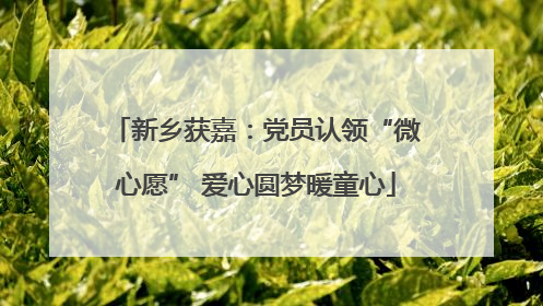 新乡获嘉：党员认领“微心愿” 爱心圆梦暖童心