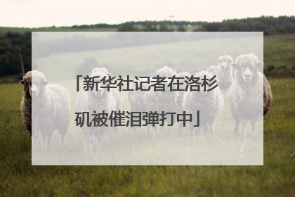 新华社记者在洛杉矶被催泪弹打中