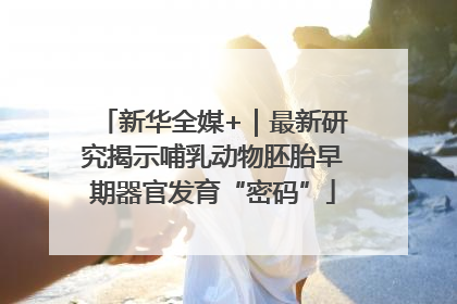 新华全媒+｜最新研究揭示哺乳动物胚胎早期器官发育“密码”