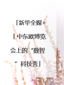 新华全媒+丨中东欧博览会上的“数智”科技秀