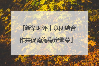 新华时评丨以团结合作共促南海稳定繁荣