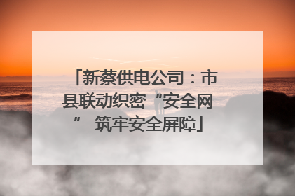 新蔡供电公司：市县联动织密“安全网” 筑牢安全屏障