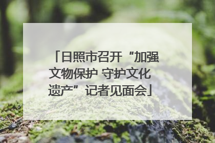 日照市召开“加强文物保护 守护文化遗产”记者见面会