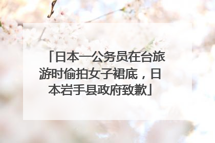 日本一公务员在台旅游时偷拍女子裙底，日本岩手县政府致歉