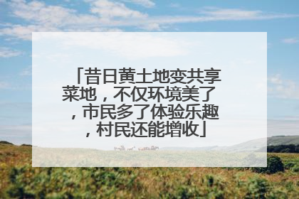 昔日黄土地变共享菜地，不仅环境美了，市民多了体验乐趣，村民还能增收