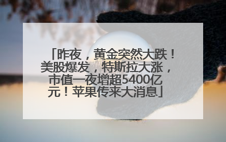 昨夜，黄金突然大跌！美股爆发，特斯拉大涨，市值一夜增超5400亿元！苹果传来大消息