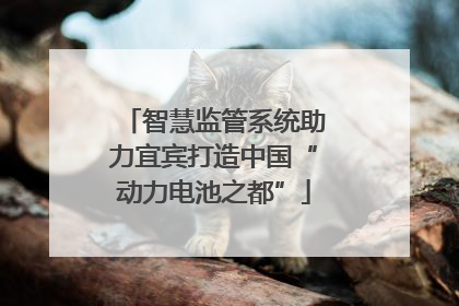 智慧监管系统助力宜宾打造中国“动力电池之都”