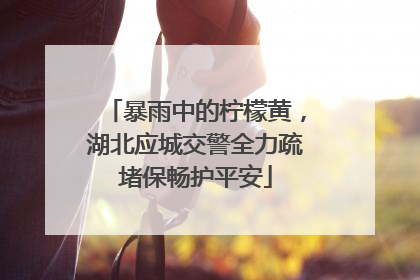 暴雨中的柠檬黄，湖北应城交警全力疏堵保畅护平安