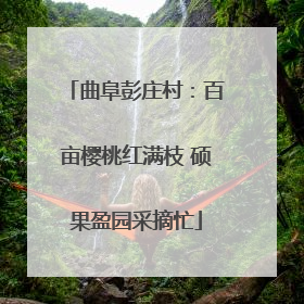 曲阜彭庄村：百亩樱桃红满枝 硕果盈园采摘忙
