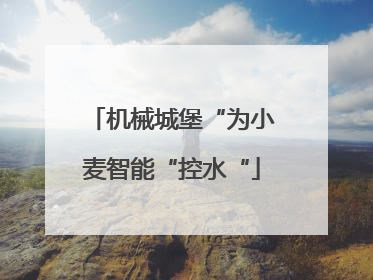 机械城堡“为小麦智能“控水“