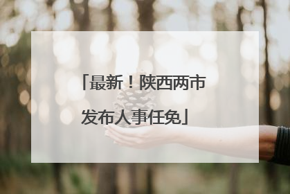 最新！陕西两市发布人事任免