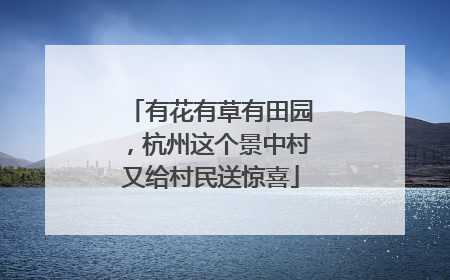 有花有草有田园，杭州这个景中村又给村民送惊喜