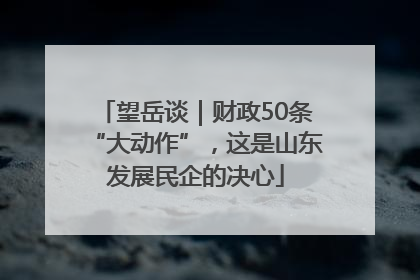 望岳谈｜财政50条“大动作”，这是山东发展民企的决心