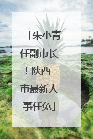 朱小青任副市长！陕西一市最新人事任免