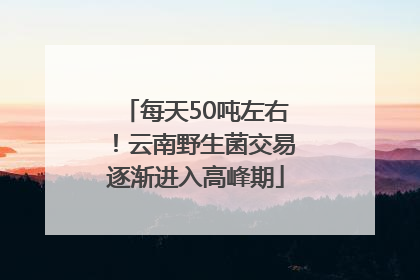 每天50吨左右！云南野生菌交易逐渐进入高峰期