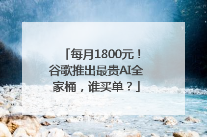 每月1800元！谷歌推出最贵AI全家桶，谁买单？