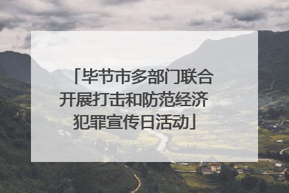 毕节市多部门联合开展打击和防范经济犯罪宣传日活动