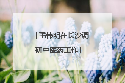 毛伟明在长沙调研中医药工作