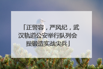 正警容，严风纪，武汉轨道公安举行队列会操锻造实战尖兵