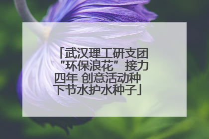 武汉理工研支团“环保浪花”接力四年 创意活动种下节水护水种子