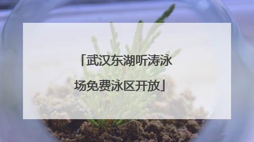 武汉东湖听涛泳场免费泳区开放