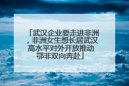 武汉企业要走进非洲,非洲女生想长居武汉 高水平对外开放推动鄂非双向奔赴