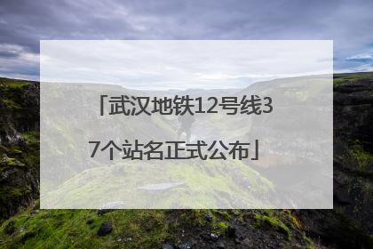 武汉地铁12号线37个站名正式公布