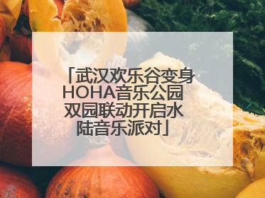 武汉欢乐谷变身HOHA音乐公园 双园联动开启水陆音乐派对