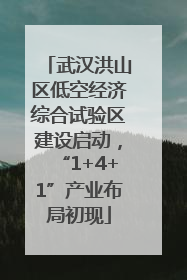 武汉洪山区低空经济综合试验区建设启动，“1+4+1”产业布局初现