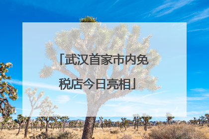 武汉首家市内免税店今日亮相