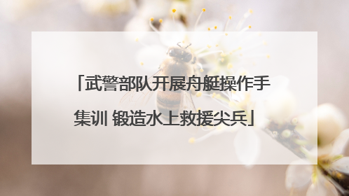武警部队开展舟艇操作手集训 锻造水上救援尖兵