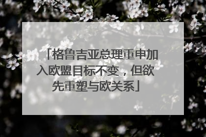 格鲁吉亚总理重申加入欧盟目标不变，但欲先重塑与欧关系
