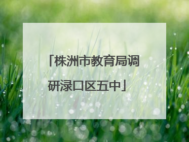 株洲市教育局调研渌口区五中