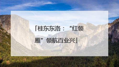 桂东东洛：“红领雁”领航百业兴