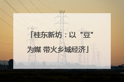 桂东新坊：以“豆”为媒 带火乡域经济