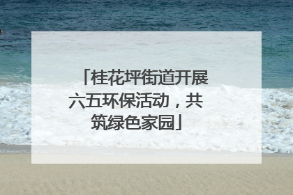 桂花坪街道开展六五环保活动，共筑绿色家园