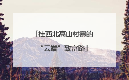 桂西北高山村寨的“云端”致富路