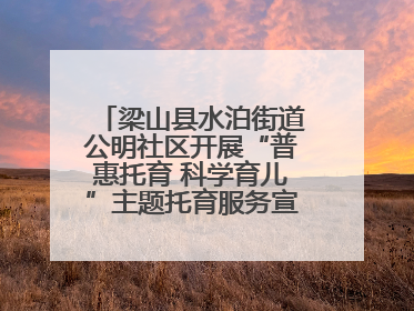 梁山县水泊街道公明社区开展“普惠托育 科学育儿”主题托育服务宣传活动