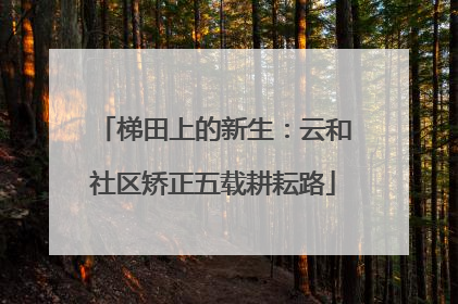 梯田上的新生：云和社区矫正五载耕耘路