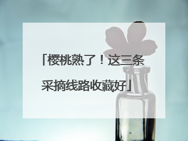 樱桃熟了！这三条采摘线路收藏好
