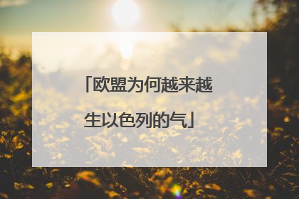 欧盟为何越来越生以色列的气