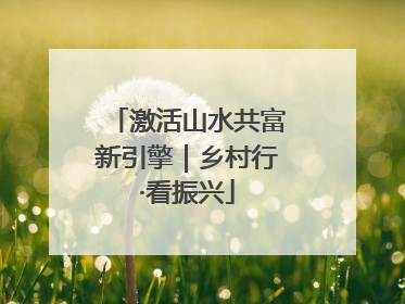激活山水共富新引擎｜乡村行·看振兴
