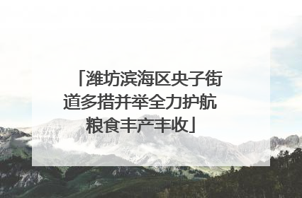 潍坊滨海区央子街道多措并举全力护航粮食丰产丰收