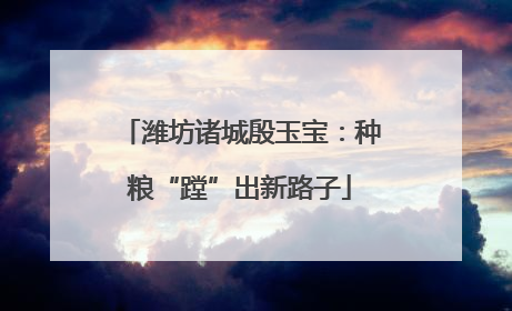 潍坊诸城殷玉宝：种粮“蹚”出新路子